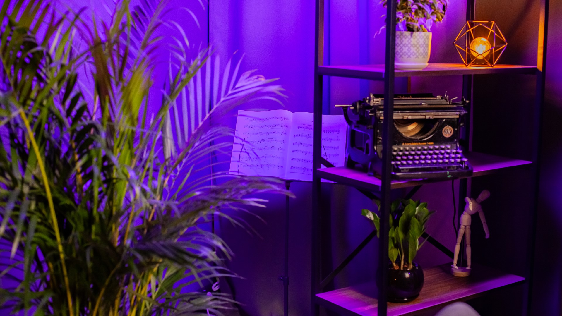 Световые стойки и сетап